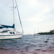 Shard anchored off Coconut Grove, FL, 1995